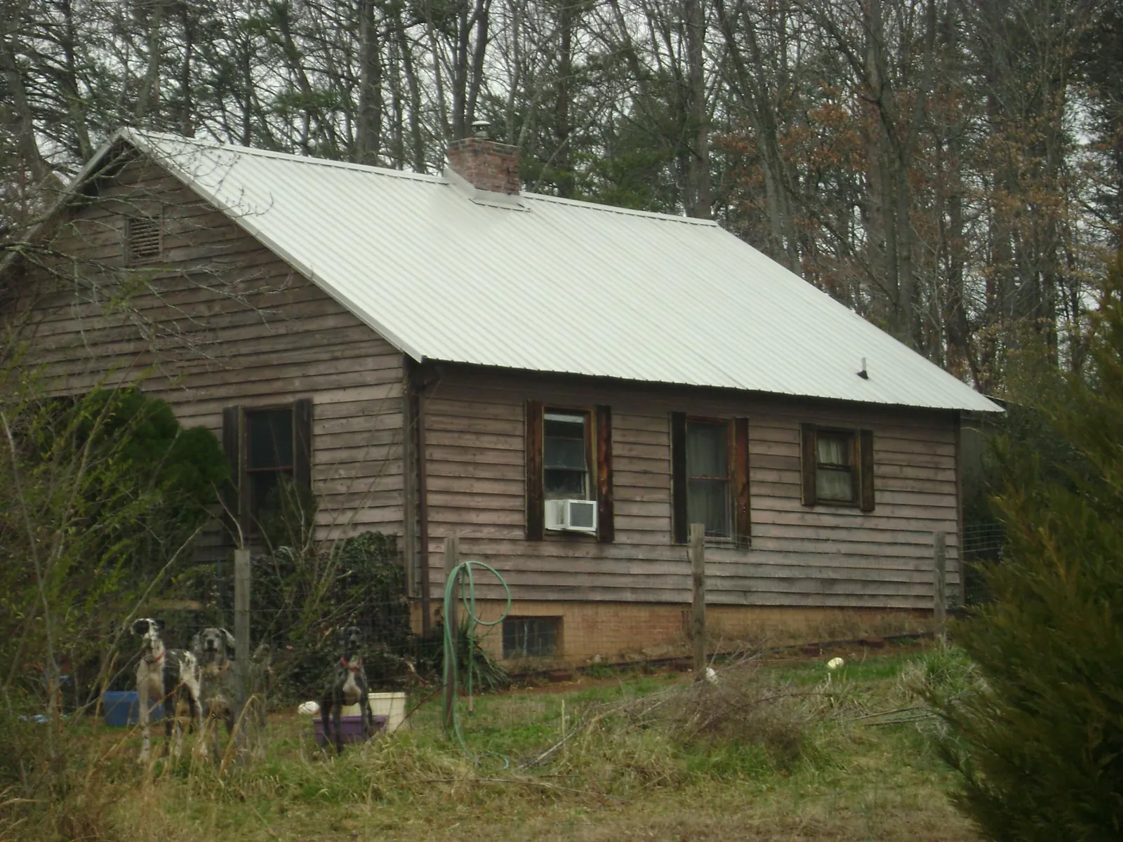 White metal roof on an old wood sided farmhouse, from a Asphalt Shingle Roof Repair job in Grove